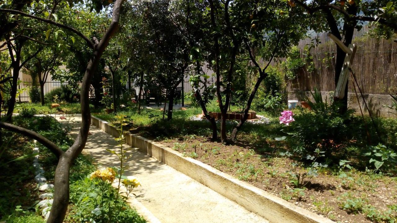 Tea Apartment Kotor Ngoại thất bức ảnh