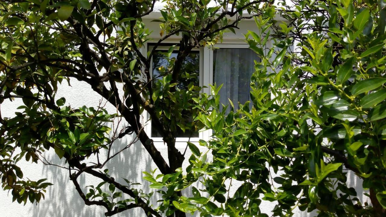 Tea Apartment Kotor Ngoại thất bức ảnh