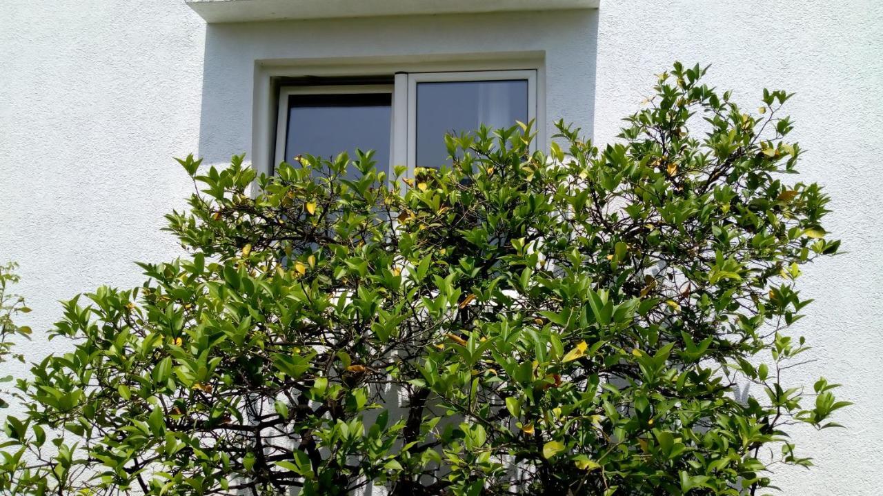 Tea Apartment Kotor Ngoại thất bức ảnh