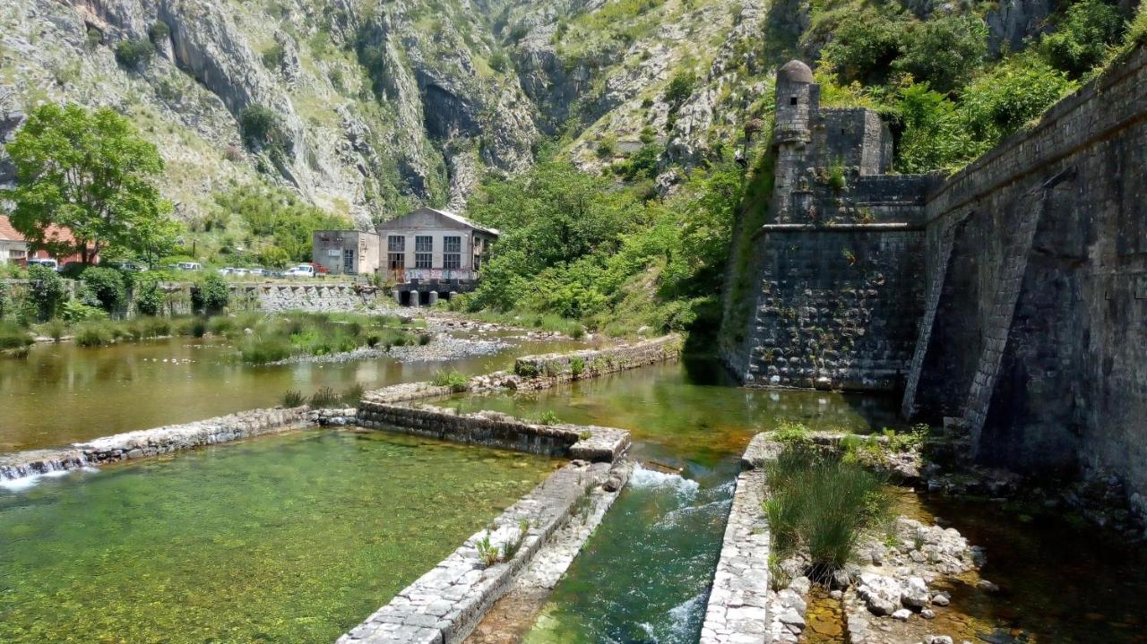 Tea Apartment Kotor Ngoại thất bức ảnh