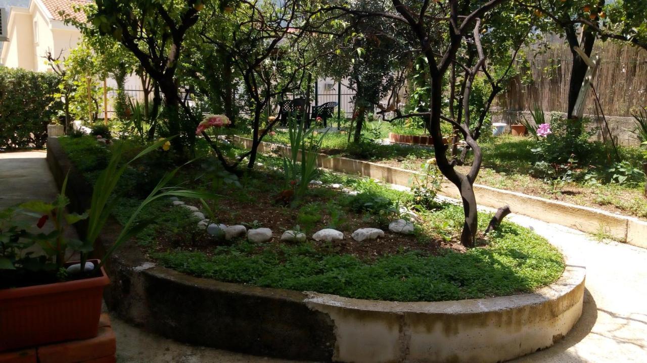 Tea Apartment Kotor Ngoại thất bức ảnh